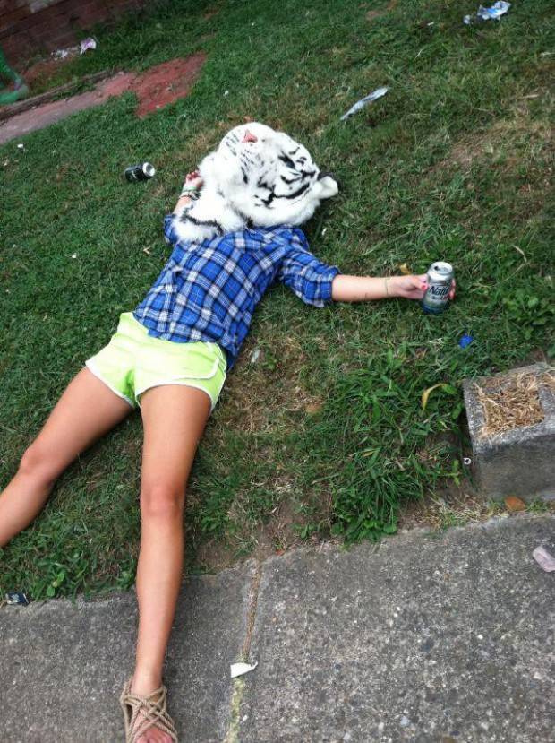 girls who love beer 33 pics 2.html - 33 HD Photos | Premium Gallery 2026
