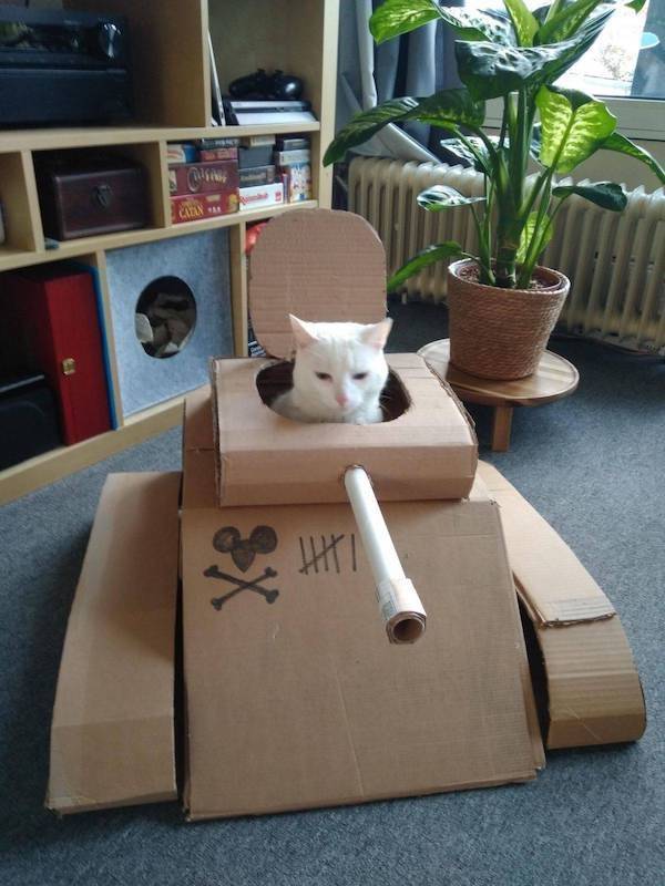 Daily Picdump
