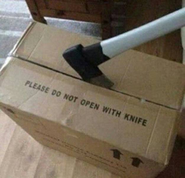 daily picdump 37 pics 1.html - 37 HD Photos | Premium Gallery 2026