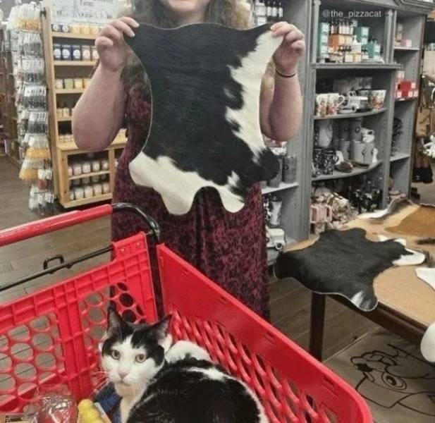 daily picdump 37 pics 1.html - 37 HD Photos | Premium Gallery 2026