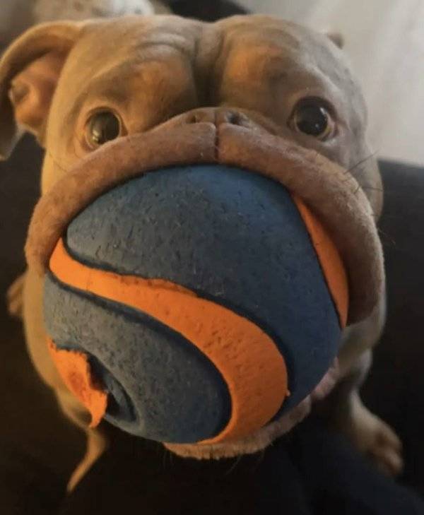 Daily Picdump