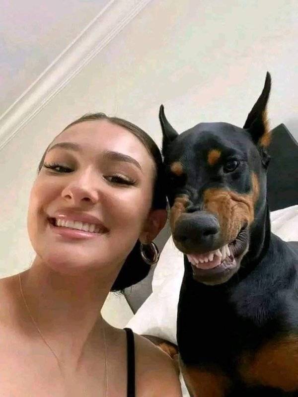 Daily Picdump