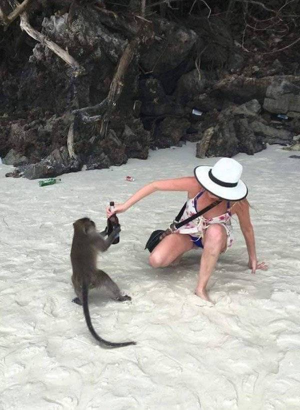 daily picdump 37 pics 1.html - 37 HD Photos | Premium Gallery 2026