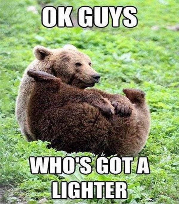 daily picdump 37 pics 1.html - 37 HD Photos | Premium Gallery 2026