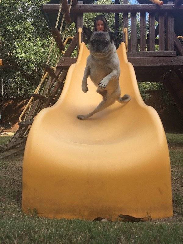daily picdump 37 pics 1.html - 37 HD Photos | Premium Gallery 2026