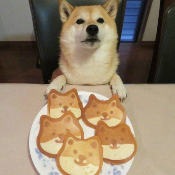 daily picdump 38 pics 1.html - 38 HD Photos | Premium Gallery 2026