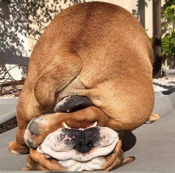 daily picdump 38 pics 1.html - 38 HD Photos | Premium Gallery 2026
