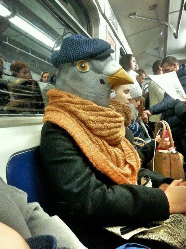 daily picdump 38 pics 1.html - 38 HD Photos | Premium Gallery 2026