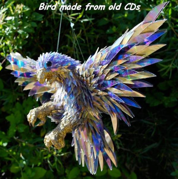 Daily Picdump [WEEKEND EDITION]