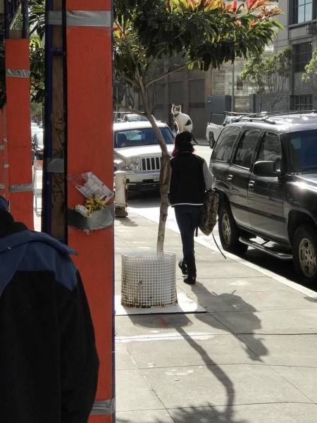 Daily Picdump [WEEKEND EDITION]