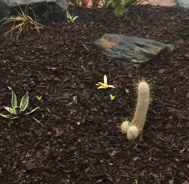 Daily Picdump [WEEKEND EDITION]