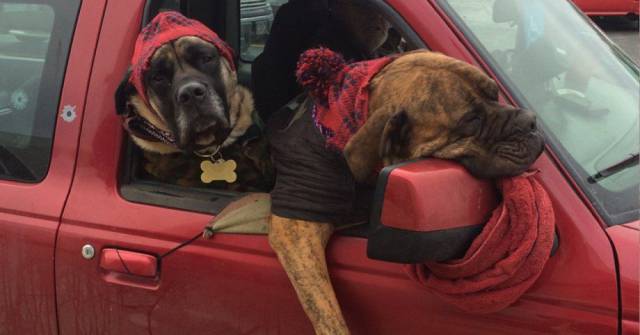 Daily Picdump [WEEKEND EDITION]