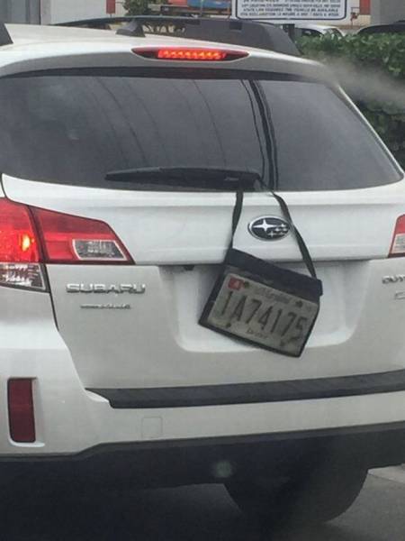 Daily Picdump [WEEKEND EDITION]