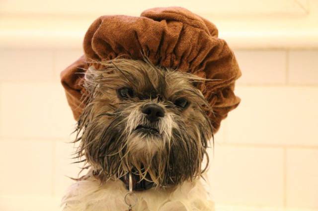 Daily Picdump [WEEKEND EDITION]