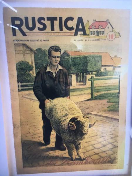 Daily Picdump [WEEKEND EDITION]