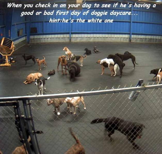 Daily Picdump [WEEKEND EDITION]