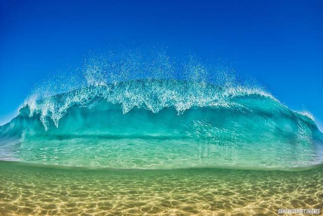 Daily Picdump [WEEKEND EDITION]