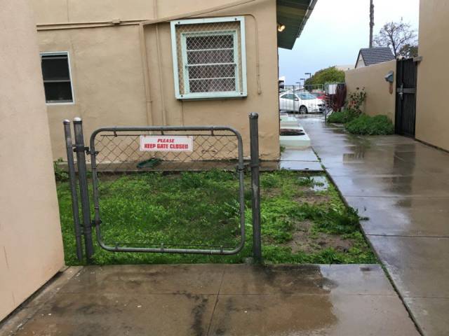 Daily Picdump [WEEKEND EDITION]