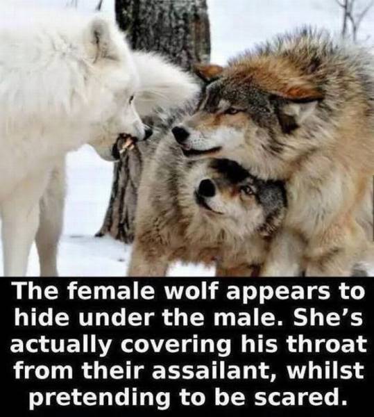 Daily Picdump [WEEKEND EDITION]