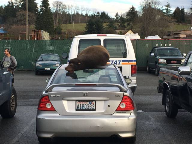 daily picdump 94 pics 33.html - 94 HD Photos | Premium Gallery 2017