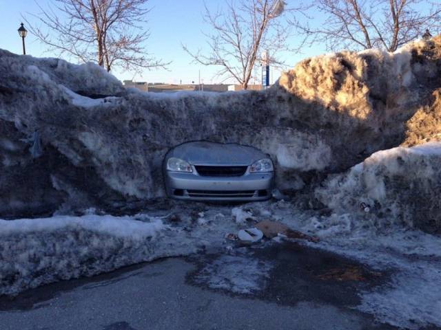 daily picdump 94 pics 33.html - 94 HD Photos | Premium Gallery 2017