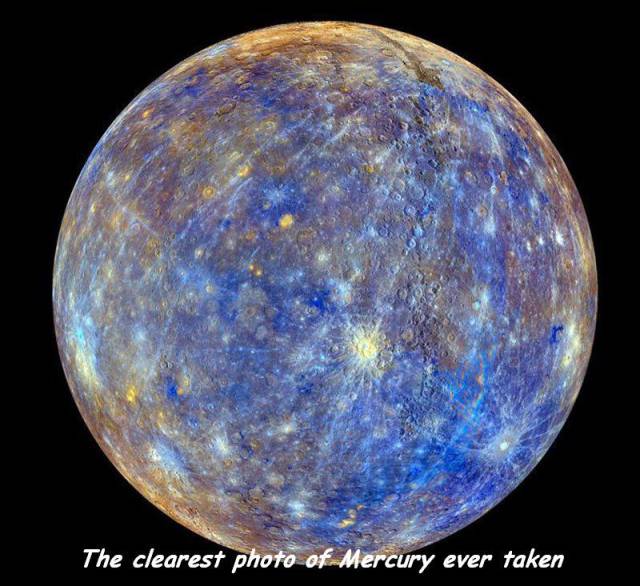 daily picdump 94 pics 33.html - 94 HD Photos | Premium Gallery 2017