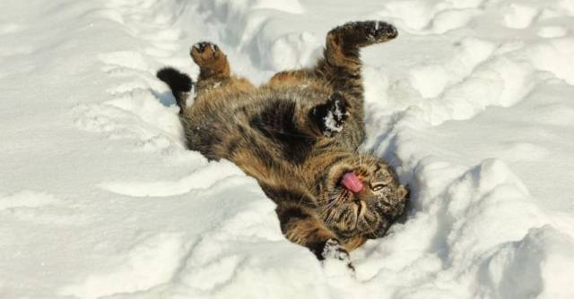 daily picdump 94 pics 33.html - 94 HD Photos | Premium Gallery 2017