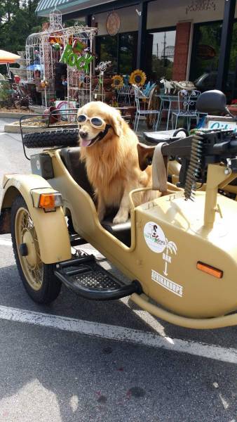 daily picdump 94 pics 33.html - 94 HD Photos | Premium Gallery 2017