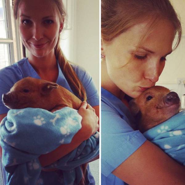 daily picdump 94 pics 33.html - 94 HD Photos | Premium Gallery 2017