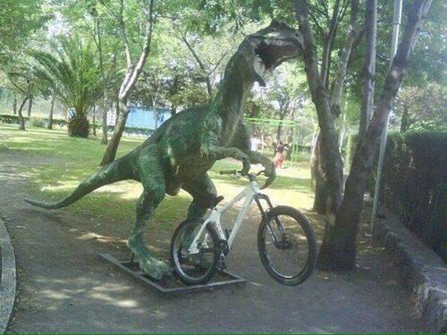 daily picdump 97 pics 46.html - 97 HD Photos | Premium Gallery 2017