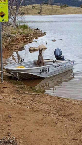 daily picdump 97 pics 46.html - 97 HD Photos | Premium Gallery 2017