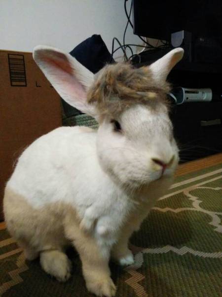 morning picdump 53 pics 21.html - 53 HD Photos | Premium Gallery 2017