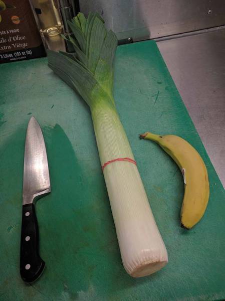 morning picdump 53 pics 21.html - 53 HD Photos | Premium Gallery 2017