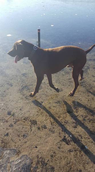 daily picdump 102 pics 9.html - 102 HD Photos | Premium Gallery 2017