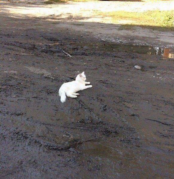 daily picdump 102 pics 9.html - 102 HD Photos | Premium Gallery 2017