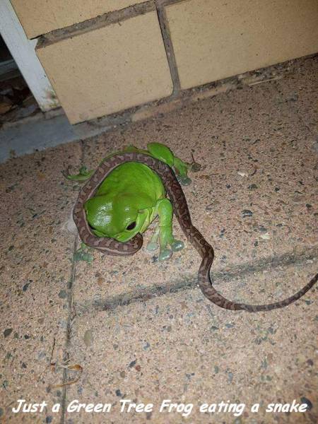 daily picdump 102 pics 9.html - 102 HD Photos | Premium Gallery 2017