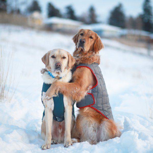 daily picdump 102 pics 9.html - 102 HD Photos | Premium Gallery 2017