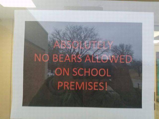 daily picdump 102 pics 9.html - 102 HD Photos | Premium Gallery 2017