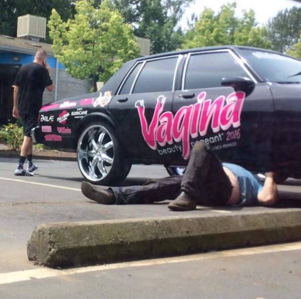 daily picdump 102 pics 9.html - 102 HD Photos | Premium Gallery 2017