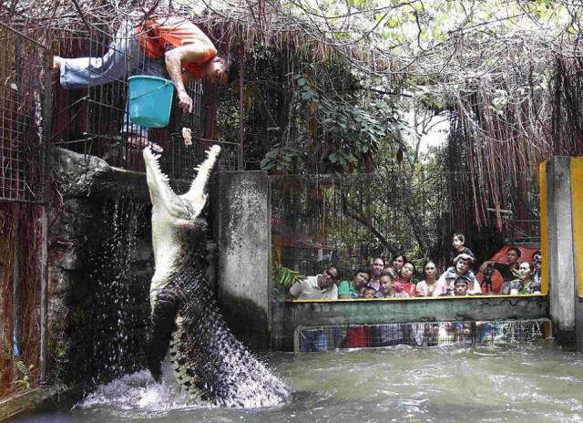 daily picdump 102 pics 9.html - 102 HD Photos | Premium Gallery 2017