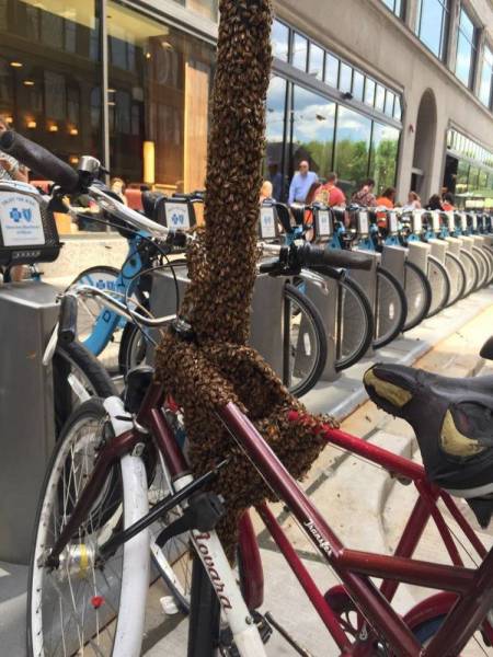 daily picdump 102 pics 9.html - 102 HD Photos | Premium Gallery 2017