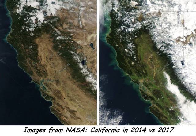 daily picdump 102 pics 9.html - 102 HD Photos | Premium Gallery 2017