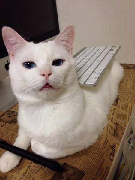 morning picdump 51 pics 9.html - 51 HD Photos | Premium Gallery 2017