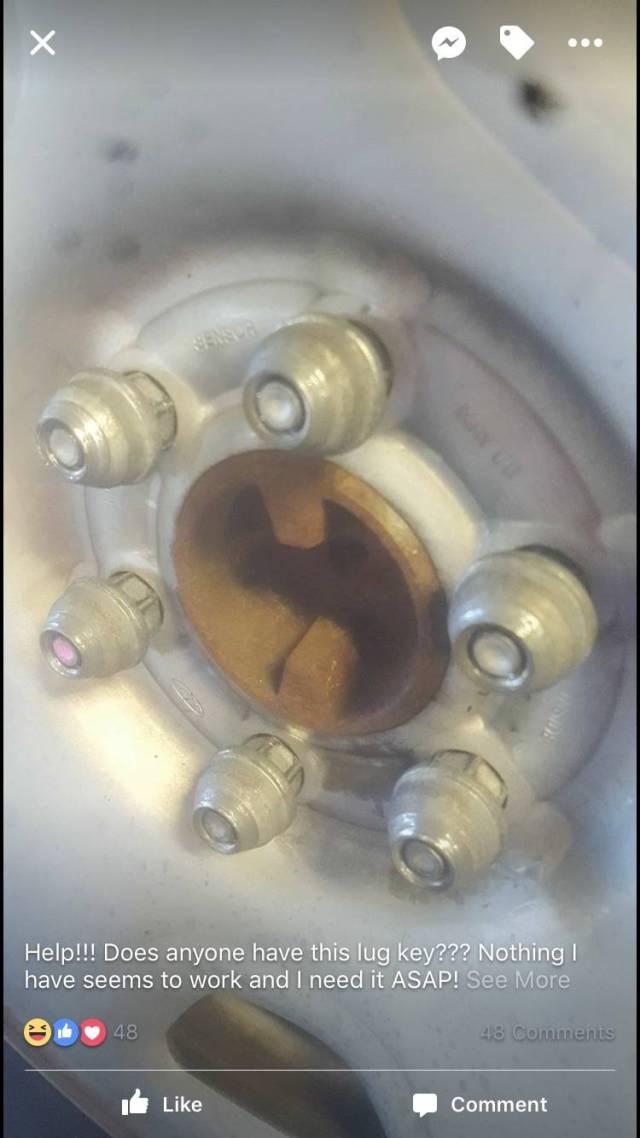 morning picdump 51 pics 9.html - 51 HD Photos | Premium Gallery 2017