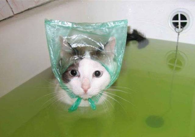 daily picdump 102 pics 4.html - 102 HD Photos | Premium Gallery 2017