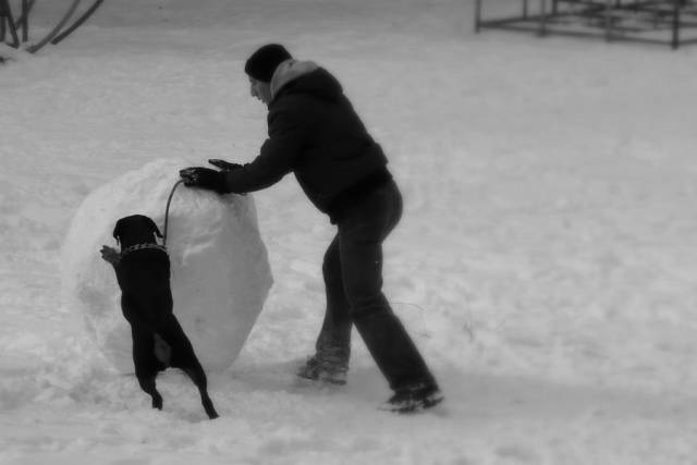 daily picdump 102 pics 4.html - 102 HD Photos | Premium Gallery 2017