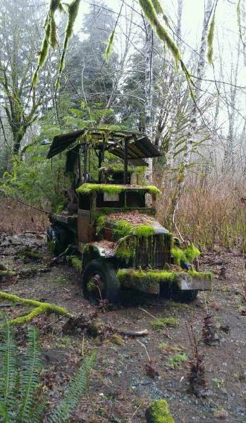 daily picdump 102 pics 4.html - 102 HD Photos | Premium Gallery 2017