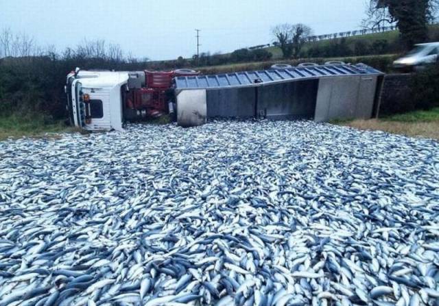 daily picdump 102 pics 4.html - 102 HD Photos | Premium Gallery 2017