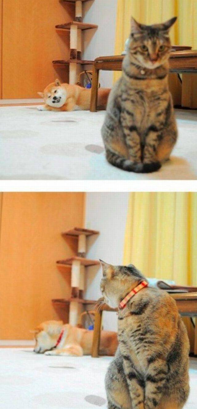 daily picdump 102 pics 4.html - 102 HD Photos | Premium Gallery 2017