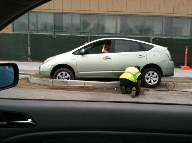 morning picdump 51 pics 6.html - 51 HD Photos | Premium Gallery 2017